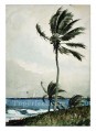 Palm Tree Realism marine painter Winslow Homer